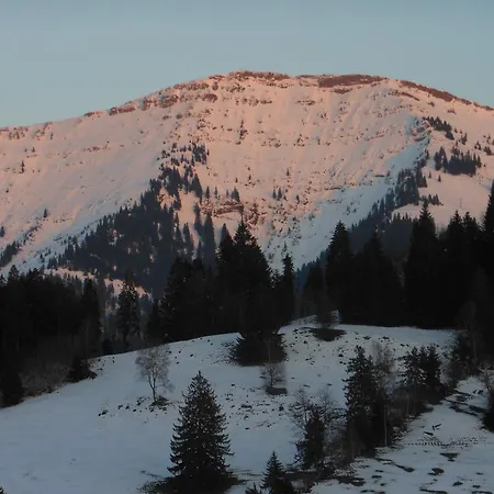 Daire Allgaeustueble Steibis