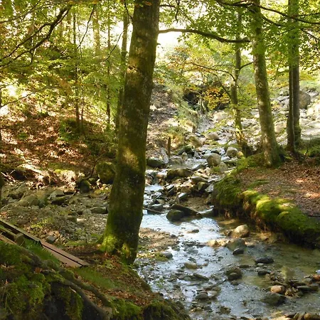 Allgaeustueble Steibis